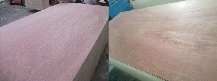 Good Edge CE Grade3_221215_
