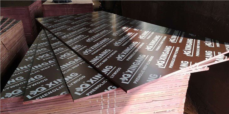 Fenolico triplay film faced plywood