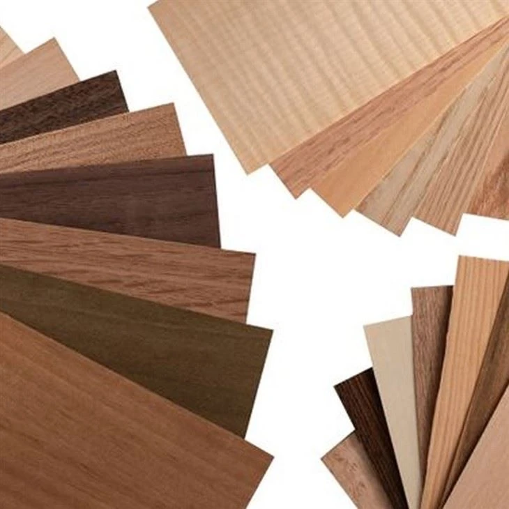 Low Rates Plywood Face Veneer Okoume/bintangor/PA/PLB/PQ/BNG/water Gum Face Veneer Stone Sheet Canadian Maple Veneer