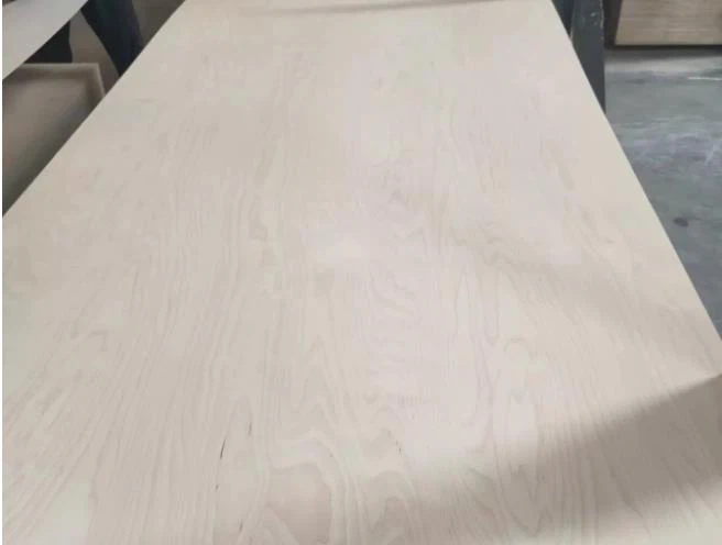 Pomorska vezana plošča iz polne breze posebne velikosti s certifikatom PEFC Premium Grade 5x10'