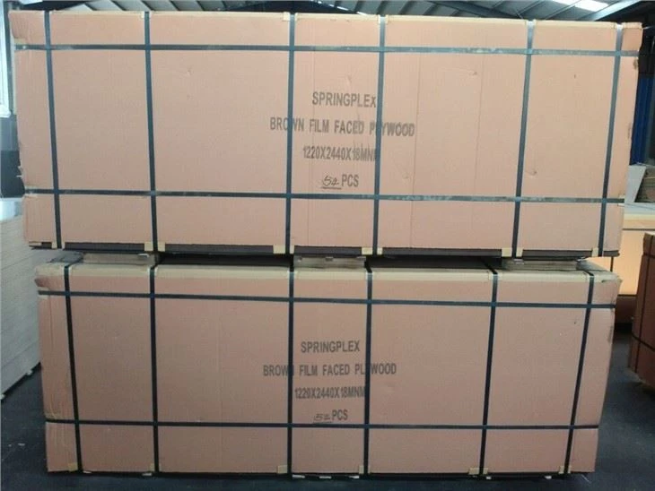 Black Film Faced Plywood Shuttering Plywood