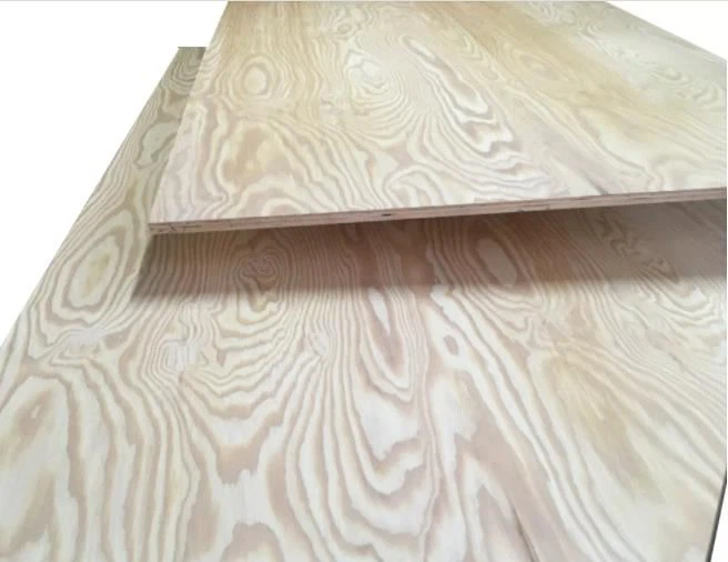 Gradbene vezane plošče Marine CDX Pine Plywood