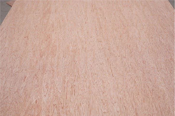 Door Skin Plywood Interior Decoration/Renovation