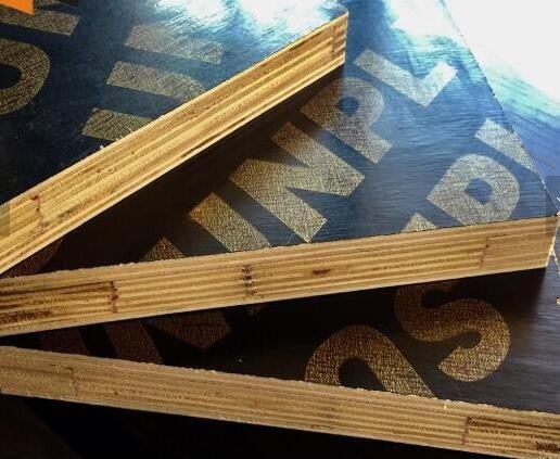 Finger Joint Core Film Faced Plywood Factory