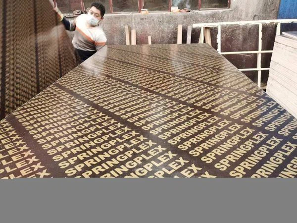Consmos Waterproof Double Face Colored Pattern Birch Marine Film Faced Plywood