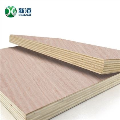 XINGANG BLAGOVNA ZNAMKA Komercialno plywood pohištvo plywood pakiranje plywood obraz nazaj za Bintangor Okoume