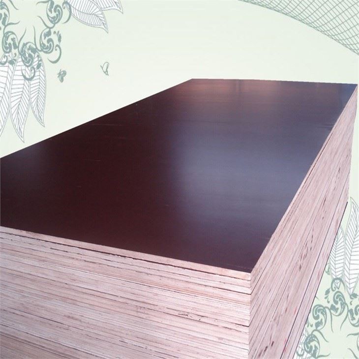 Xingang Film Faced Plywood Birch Plywood For Construction
