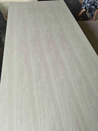 Vezan les za izdelavo pohištva topol